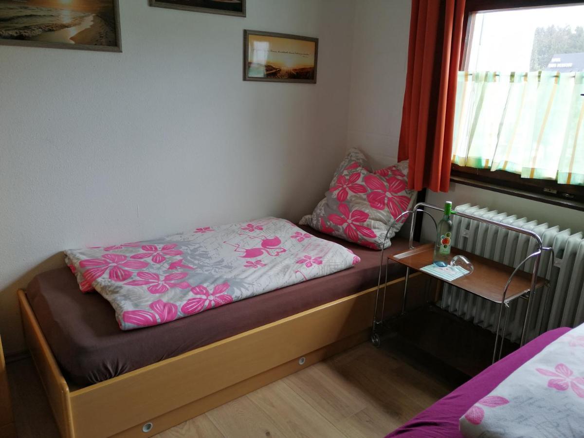 2 Raum Ferienwohnung Sonnenschein Sankt Englmar Exterior photo